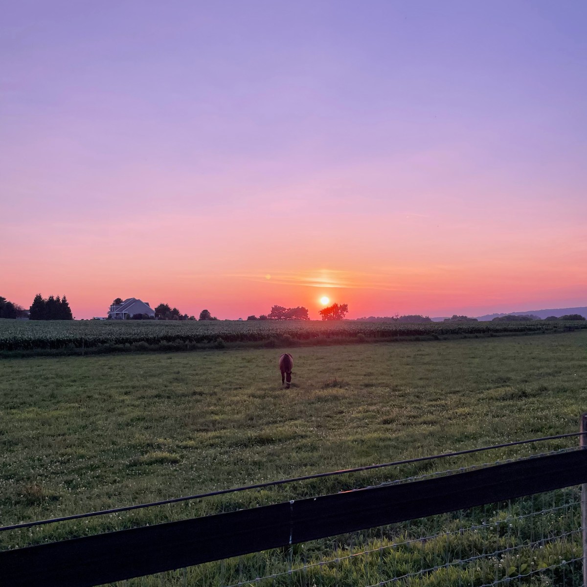 Announcing Our First Installation: a field of not-even&nbsp;anything